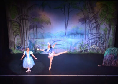 alice in wonderland ballet